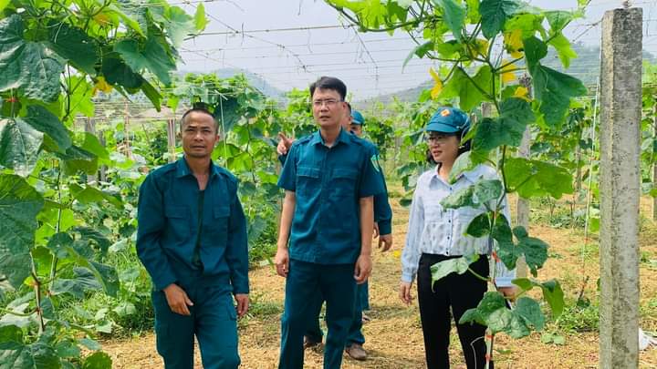 Thị trấn NT Việt Lâm: Lực lượng dân quân góp phần phát triển kinh tế địa phương